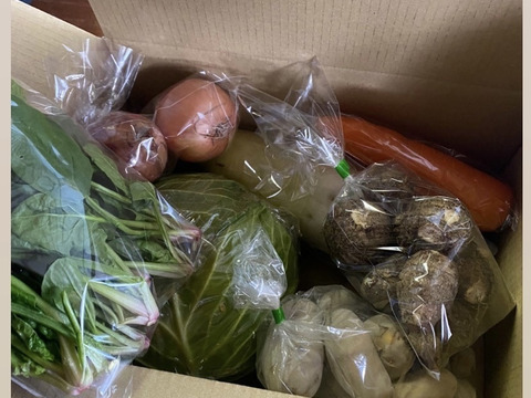 【5〜6名様用100サイズ】箱いっぱい(L)7種類の野菜セット