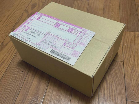 【草だけ育ち】道産自然栽培ケール・500g / カーリー&レッドロシアン（甘くて柔らかい無肥料野菜）