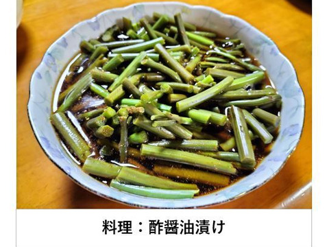 秋田県産　山菜ワラビ　ご注文専用ページ 楽天市場】【30日全品対象！ポイント5倍】山菜 わらび 水煮 80g