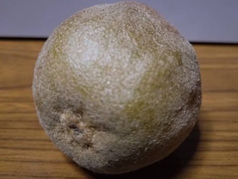 キウイフルーツとりんごをミックスしてジャムにしました！どちらも安曇野産です。ヨーグルトとの相性も抜群です。中々の仕上がり