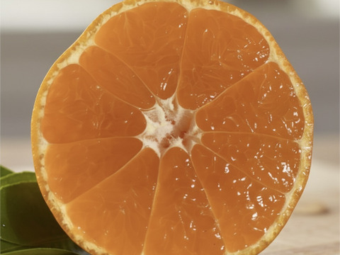 有田みかん【5kg（箱込）・ご家庭用】