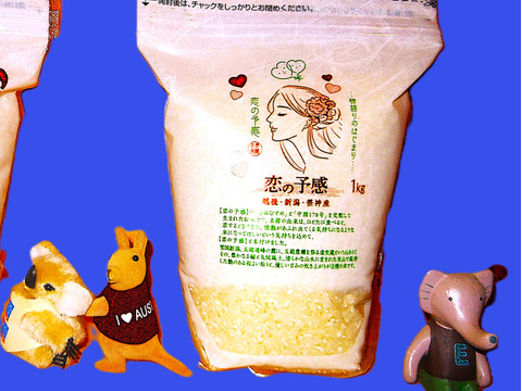 新潟産【こしひかり】1㎏×2袋と【新之助】1㎏×1袋と【恋の予感】1㎏×1袋の3品種で4袋と【縁結び】300ｇ×1袋と【ひとめぼれ】300ｇ×1袋の合計6袋での4.6㎏です