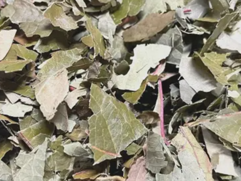 【福袋】オススメジャム・ブルーベリー葉のお茶・ハーブソルトのセット　※まとめ買い対応