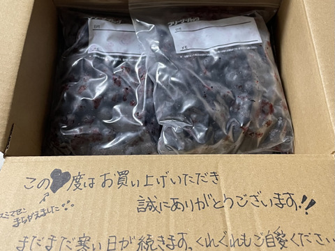 【有機JAS認証】●まるまるアイスの実！●保存が効く冷凍ブルーベリー１kg