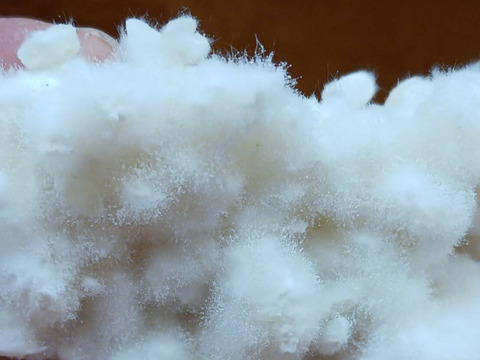 白米麹1㎏　肥料や農薬を使わず育てた【亀の尾】天日干し