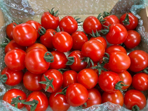 プチプチ食感！から紅のミニトマト