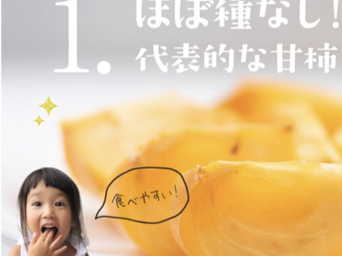 【冬ギフトお歳暮用！】長生き次郎柿『長寿郎』大きい3Lサイズ6玉入り