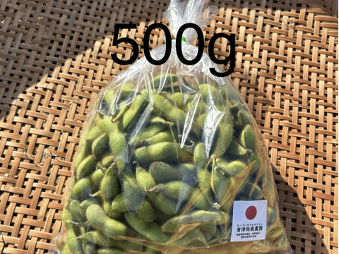【期間限定】甘い！自然栽培枝豆『音更大袖振大豆』（500g×2p）