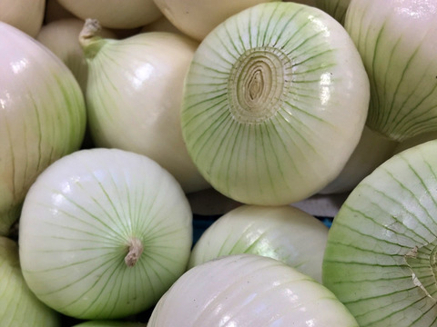 【数量限定☆２か月だけのセット🎁】甘さいっぱい！お得いっぱい！旬の春野菜詰め合わせ箱☆🥗🥬🥦＋新玉ねぎ付き🧅