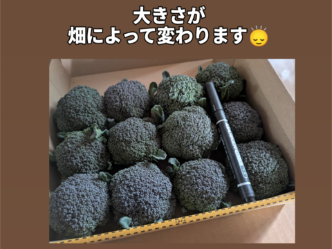 小ブロッコリー宅急便コンパクト