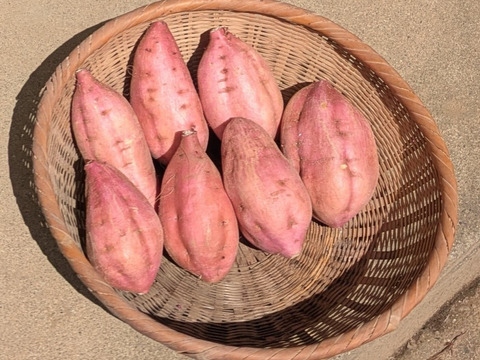 シルクスイート（２・５Kg）＆安納芋（２・５Kg）