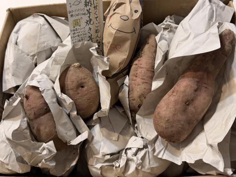 《予約販売》【熟成芋】高糖度プチサイズ安納芋（4㎏）独自の方法で熟成！蜜溢れ出る焼き芋がご家庭で簡単に🍠ひとつひとつ丁寧に紙に包んでお届けでプレゼントにも。熨斗OK！【冬ギフト】お歳暮にも
