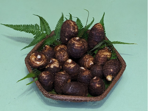 茨城名産おいしい 里芋　１.８キロ　【おでん、けんちん、芋煮、煮物】　ほくほくねっとり旨い！