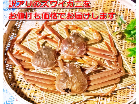 期間限定】訳アリ庄内沖ズワイガニ 足だけ ３００ｇ×２パック：山形県 