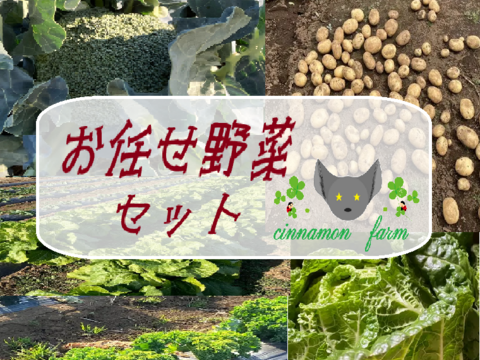 旬の野菜！！入ってます(*^^*)野菜セット（3～4種類）