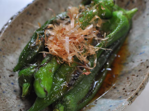 京都山城産　万願寺とうがらし　約1kg