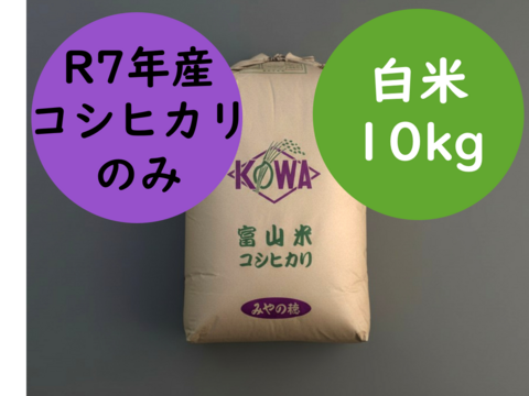 【初出品特別価格】旨み値Sランク R7富山県産こしひかり10kg 白米｜皇室献上