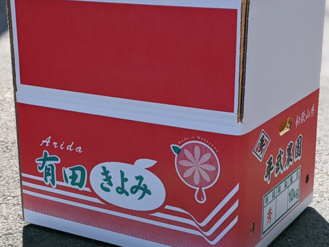 農家直送！きよみオレンジ　10kg  【平武農園】〜蛍飛ぶ町から旬の便り〜　和歌山｜有田｜田口｜ギフト