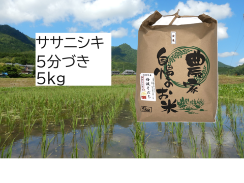 自然栽培のお米『ササニシキ』5分づき５ｋｇ