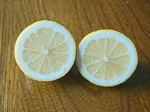 【クール便】【小玉】訳あり！防腐剤・ワックス・農薬不使用 酸っぱいだけじゃない！甘味も感じる広島県大崎下島産 レモン5キロ