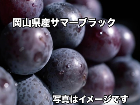 岡山県産　数量限定【お買得✨訳あり】サマーブラック🍇5房〜6房入り
