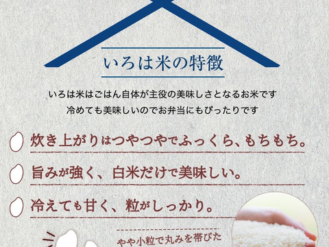 令和7年度 ひのひかり 10kg (ヒノヒカリ) 宮崎県高千穂産 棚田米 お米10kg
