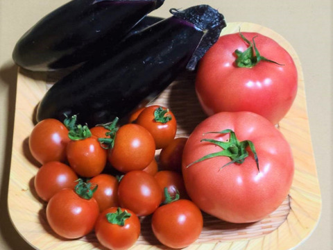 なす・トマト・ミニトマトの3種セット♪【お試しサイズ】