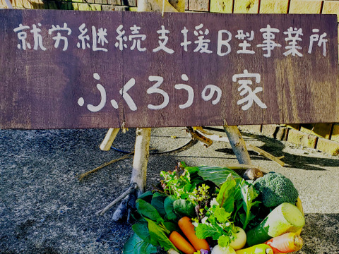 甲斐路の恵み！富士山と八ヶ岳をはじめとする広大な山々に見守られて育ったお野菜【10～12品】お届け！
