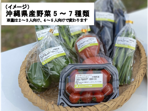 沖縄県産 おまかせ野菜セット（野菜5～7種類(２～３人向け））