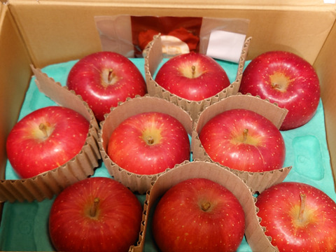 【早生ふじ】（2kg・6～9個入り）シャキ甘・ジューシーお得な家庭用