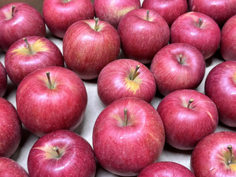 ★すぐに出荷★【加工用バラ詰め】極小玉のシナノスイート!! ジュース、スイーツ、コンポート、すりおろし林檎　加工用・業務用🍎約4.5Kg青森県産