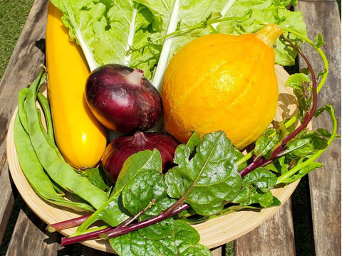 テーマは『カラフル&珍しい』野菜セット(野菜6種類入り)農薬・化学肥料不使用