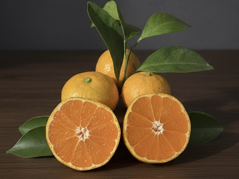 有田みかん【10kg（箱込）・ご家庭用】