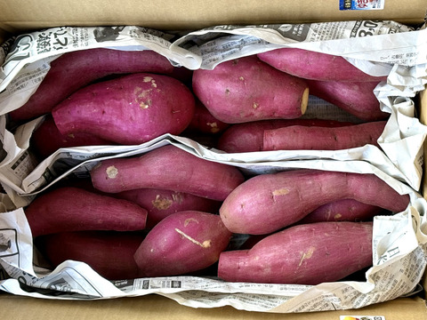 日替わり「さつまいも」2種類食べ比べセット！色々なサイズ入り  5キロ箱【訳あり】