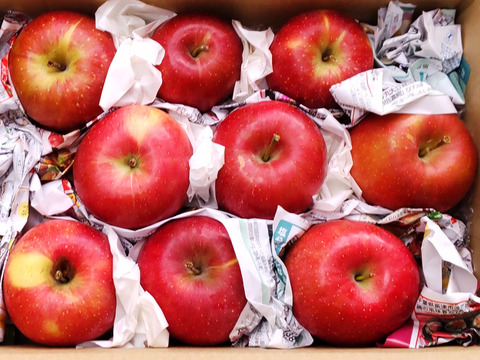 【優しい甘さでリピさん多し！】こうたろう　家庭用　約3キロ【葉とらず】JA基準より60％減の低農薬栽培