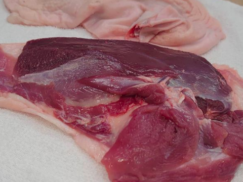 最高級「河内鴨」ロース（約１kg） と河内鴨もも肉コンフィ（2個入り約800g）のセット