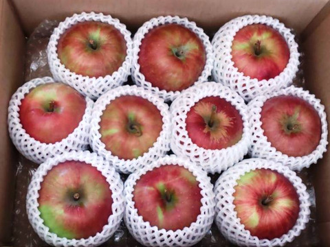 【収穫より24時間以内の発送】サンつがる【贈答用】家庭用上品　3キロ【葉とらず】JA基準より60％減の低農薬栽培