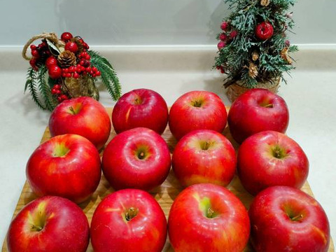 発送中🍎紅玉 3キロ箱【有名パティシエ鎧塚さんが紅玉でタルトタタンのレシピ&動画公開！！】 加工もおすすめ6玉〜15玉サイズ 商品ID42918 長野県 信州 安曇野 リンゴ