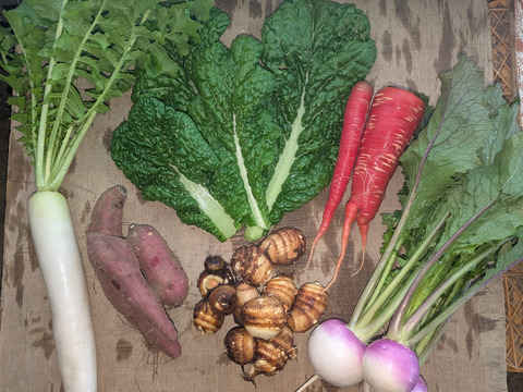 2026年　お正月お迎え野菜セット