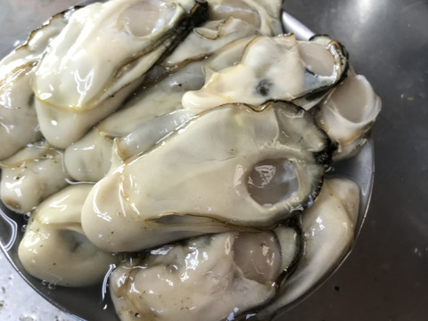 【食べ比べ】素材を生かしたレシピで旬の牡蠣を楽しもう！むき身牡蠣(大粒1㎏+小粒500gのセット）
