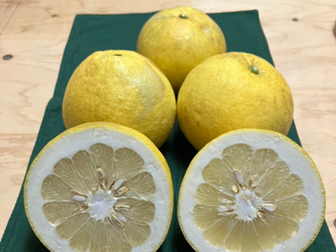 鹿児島県産「わっぜうまかぁサワーポメロ」＋おまけ