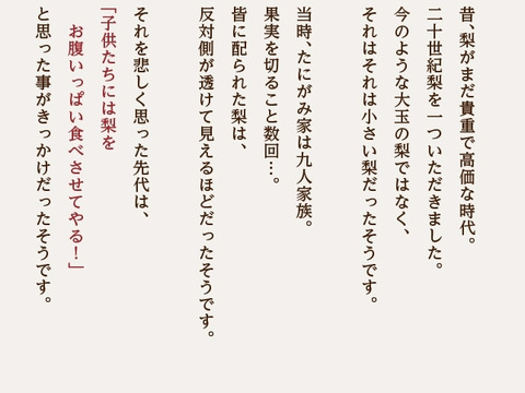 (2/2018時～23日まで割引中！)発送中「王秋梨」2.5キロ(4～6玉) 熨斗対応 たにがみ農園 鳥取県産 みずみずしい 梨 nashi ナシ なし【冬ギフト】