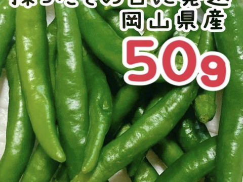 青唐辛子　50g 岡山県産
