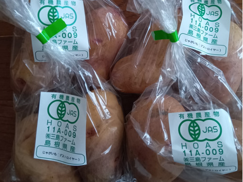 めちゃくちゃ美味しいじゃがいも！デストロイヤー（グランドペチカ）1.2キロ