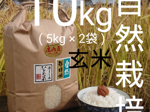 【 玄米 ・ 10kg 】米の旨味たっぷり 自然栽培米 ひとめぼれ