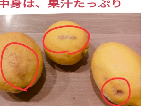 感謝特別セール❢Aランク訳あり】 国産ユーレカレモン❢果汁たっぷり
5.2kg(箱込）