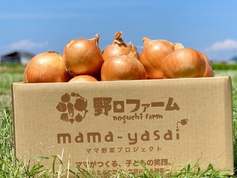 【玉ねぎ定期便】淡路島 季節の玉ねぎ 2kg箱 約6～8個入