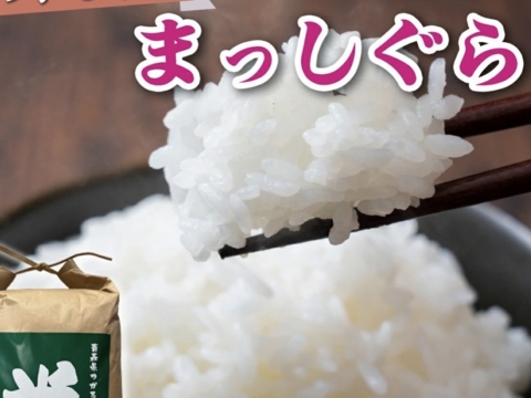 青森県産米　まっしぐら5㎏　玄米or白米　令和７年産