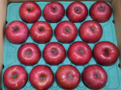 【大切な方へ】贈答用サンふじ5キロ16玉【葉とらず・大玉】JA基準より60％減の低農薬栽培