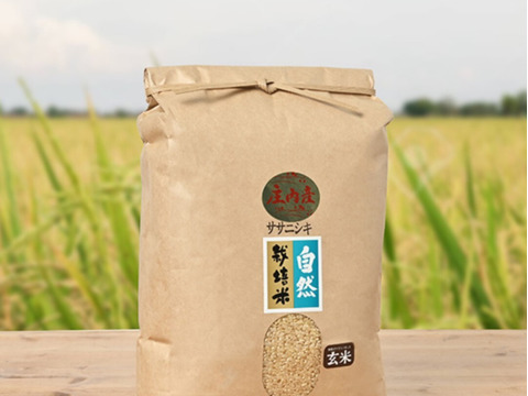 令和7年産予約 自然栽培米 ササニシキ 庄内米 玄米 5kg：山形県産のお
